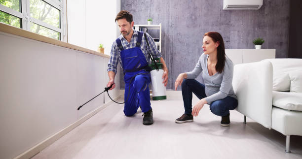 Best Residential Pest Control  in Mountlake Terrace, WA